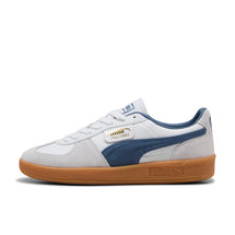 puma-palermo-lth
