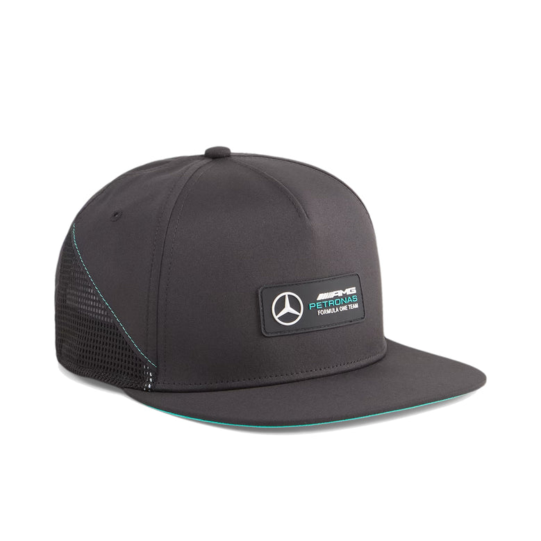 mercedes amg petronas