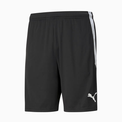 teamliga training shorts
