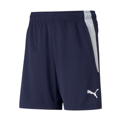 teamliga training shorts