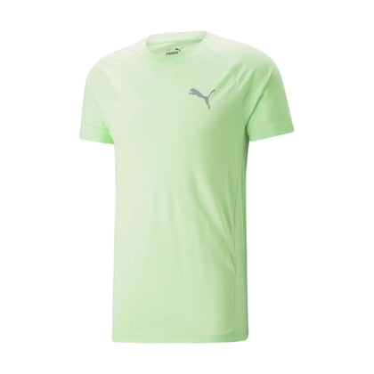 evostripe tee